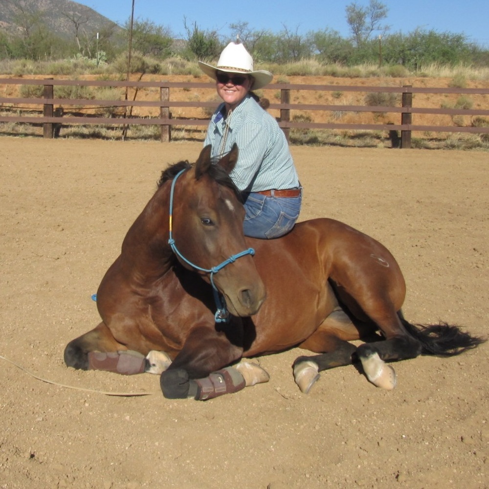 Meet your Posh ambassador